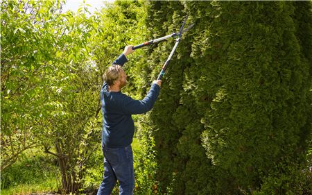 Ножницы садовые ручные для живой изгороди телескопические GARDENA TeleCut (12304-20.000.00)